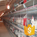 whosale layer chicken battery cage price